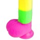 Rainbow Cock