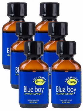Blue Boy • 6 x 24ml