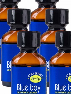 Blue Boy • 6 x 24ml