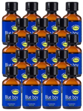 Blue Boy • 18 x 24ml