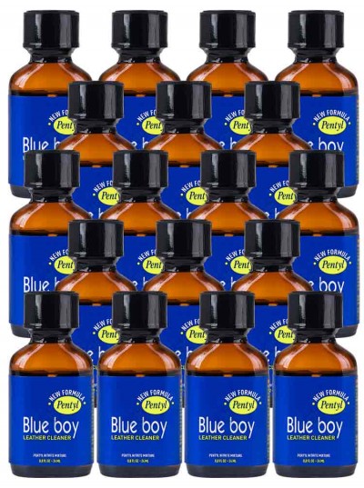 Blue Boy • 18 x 24ml