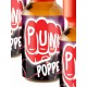 Punk 25ml • 3 Pack