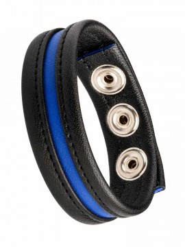 LeatherBound • Blue