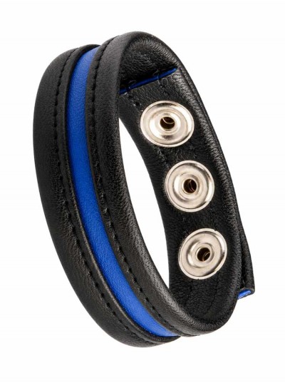 LeatherBound • Blue