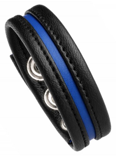 LeatherBound • Blue