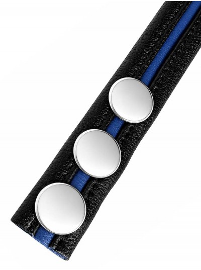 LeatherBound • Blue