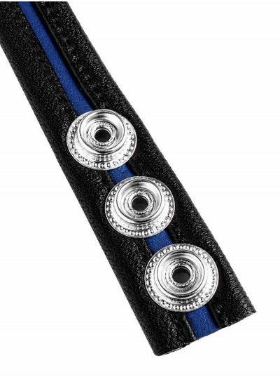 LeatherBound • Blue