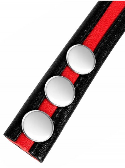 LeatherBound • Red