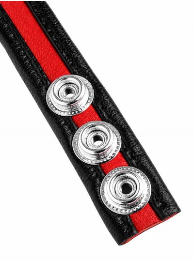 LeatherBound • Red