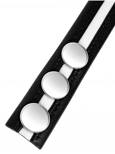 LeatherBound • White