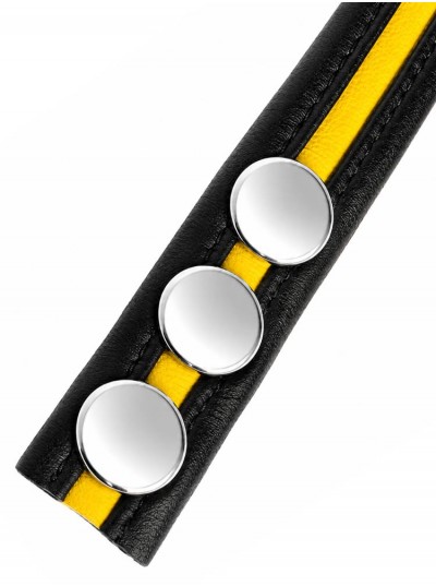 LeatherBound • Yellow