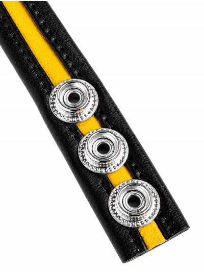 LeatherBound • Yellow