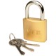 Padlock • Medium