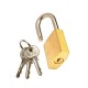 Padlock • Small