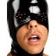 Gimp