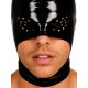 Gimp